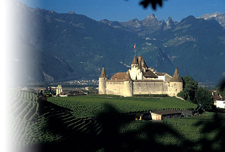 CHATEAU_D_AIGLE_VD