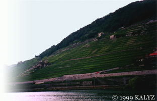 LAVAUX2