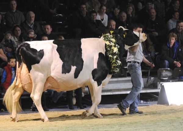  Expo Beaulieu Lausanne, Du 15 au 18/1/2015