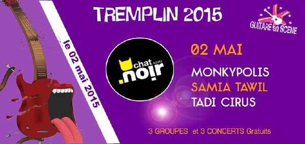  Chat Noir - Rue Vautier 13, Carouge, Samedi 2 mai 2015