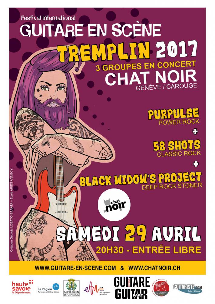  Chat Noir - Rue Vautier 13, Carouge, Samedi 29 avril 2017