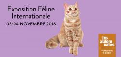 affiche Exposition Fline Internationale