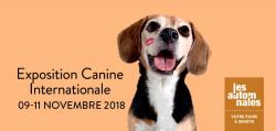 affiche Exposition Canine Internationale