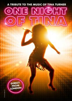 affiche ONE NIGHT OF TINA - A Tribute to the music of Tina Turner