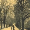 affiche CLIC CLAC CAROUGE: promenades photographiques de 1900  nos jours. 