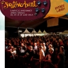 affiche 15me FESTIVERBANT 