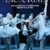 affiche Le Lac des Cygnes