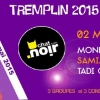 affiche Tremplin du Festival Guitare-en-Scne