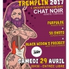 affiche Tremplin du Festival Guitare en Scne