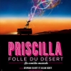 affiche Priscilla folle du dsert