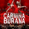 affiche  Carmina Burana 