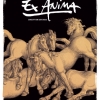 affiche Zingaro - Ex Anima