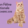 affiche Exposition Fline Internationale