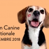 affiche Exposition Canine Internationale