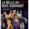 affiche La Belle au bois dormant