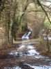 Antique chemin la Vy-de-Brand qui menait d'Avully aux bords du Rhne et  la Plaine