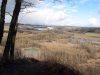 Les tangs de la Zone Protge du Moulin de Vert, au bord du Rhne. Vue depuis le chemin qui vient de Cartigny