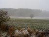 Zone Protge du Moulin de Vert sous la neige, au bord du Rhne.