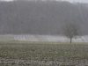 Zone Protge du Moulin de Vert sous la neige, au bord du Rhne.