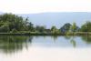 Lac d'Ogny, vue vers le Jura