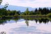 Lac d'Ogny, vue vers le Jura