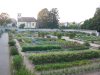 Le jardin potager: il a t restaur en fonction des documents d'poque, et est un vritable conservatiore vivant des fruits et lgumes du XVIIIe sicle.