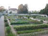 Le jardin potager: il a été restauré en fonction des documents d'époque, et est un véritable conservatiore vivant des fruits et légumes du XVIIIe siècle.