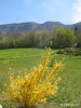  Le Salve, vu de Bossey